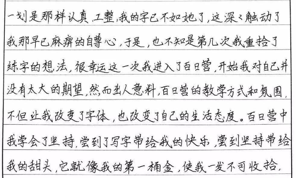 林书写指导，探索汉字之美，提升书写技巧