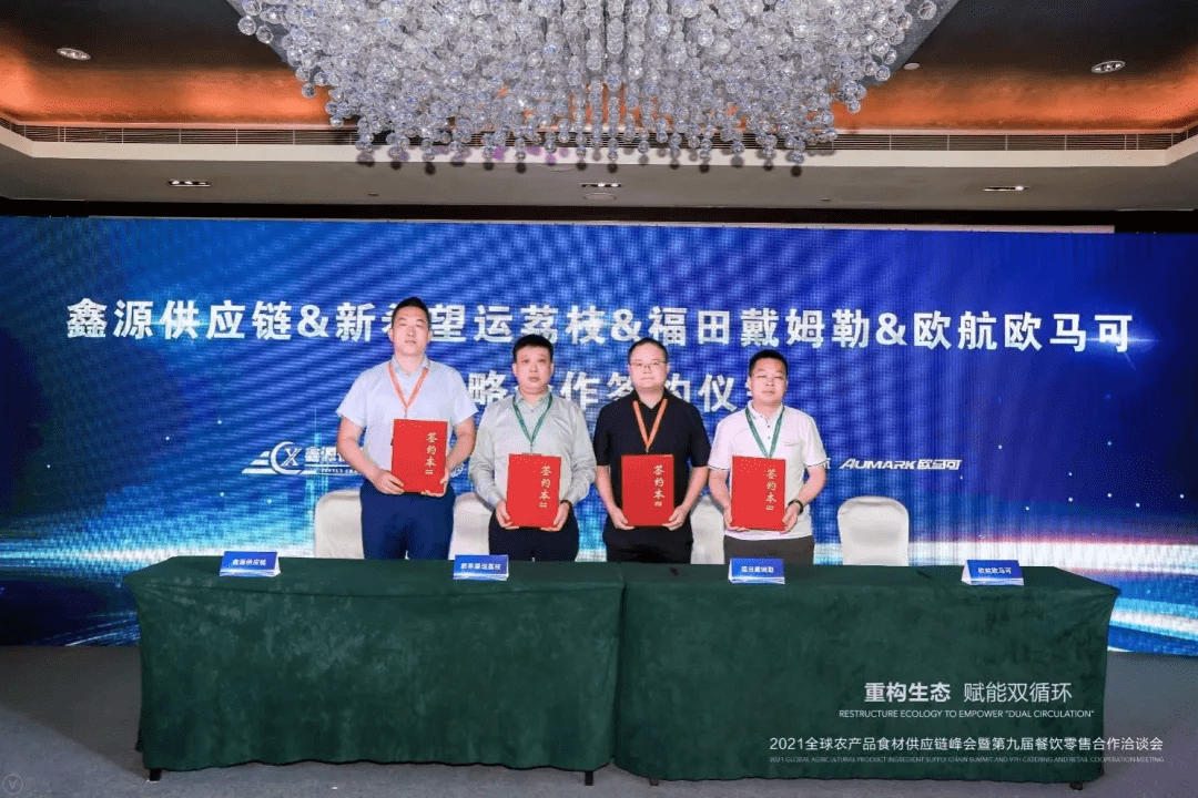 仙域科技，引领科技创新，铸就数字未来