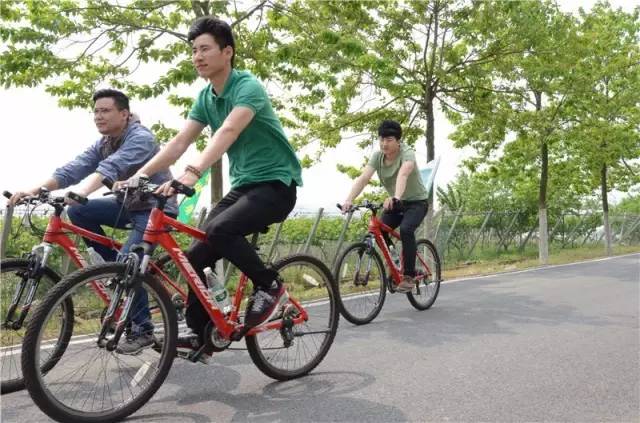 自行车轻松速比，探索绿色出行的速度与激情