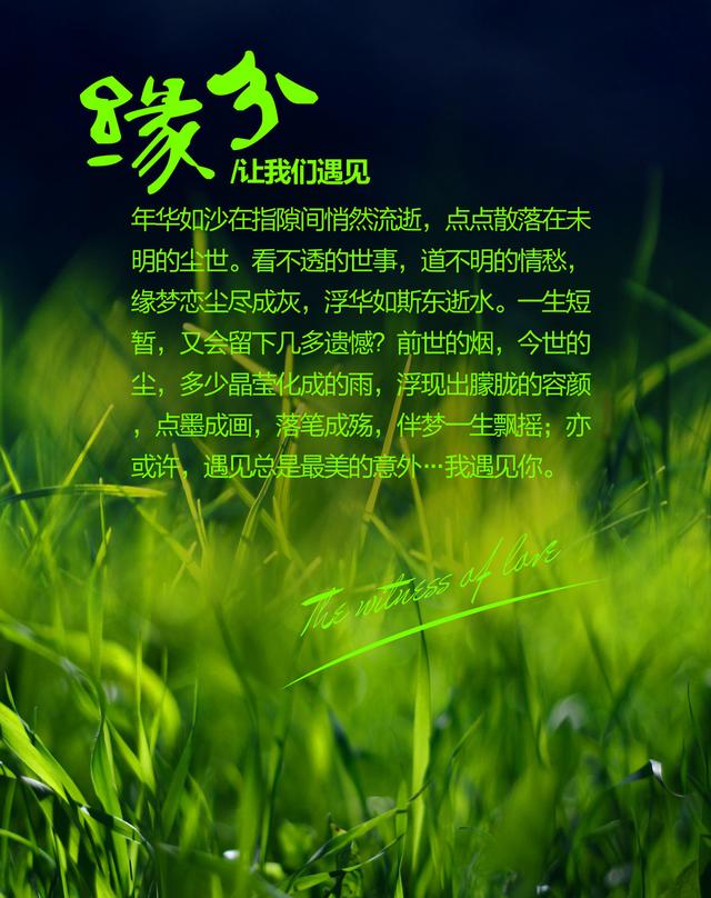 缘分这东西可遇不可求