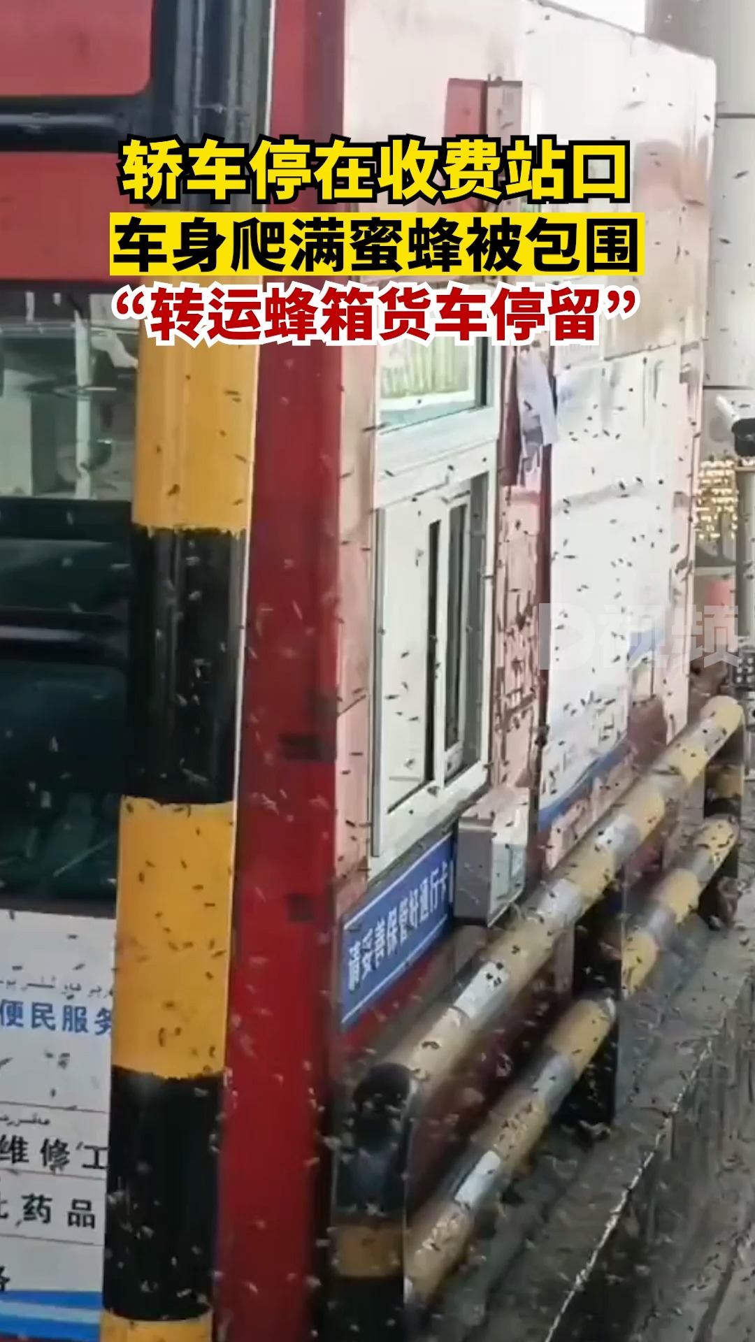 蜜蜂蜂箱的最佳摆放策略
