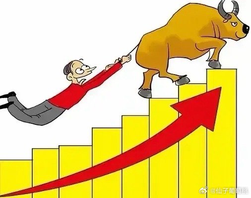 每日一股，股市的魅力与挑战