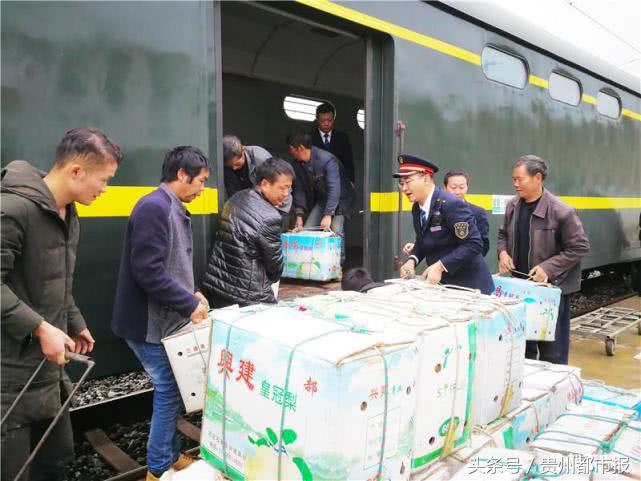 火车的费用，解析与探讨