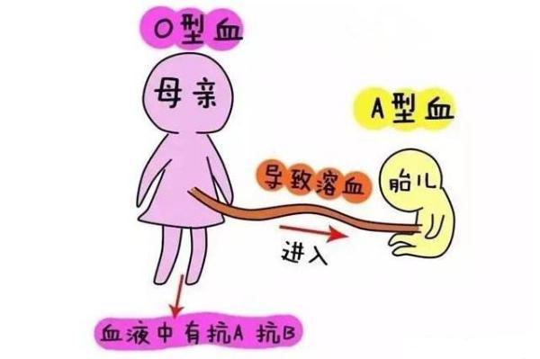 国产胎牛血清品牌，推动生物科技产业的重要力量
