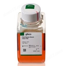 小牛血清与Gibco，在生物医学领域的独特应用与前景展望