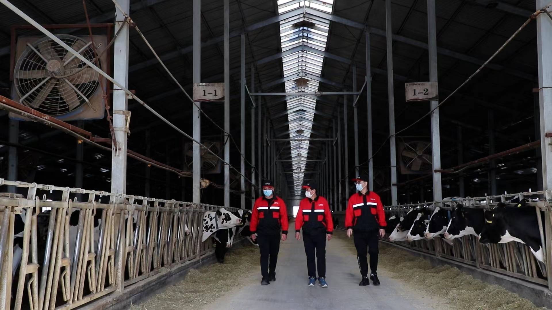 丰源牧业有限公司，引领畜牧业发展的先锋力量