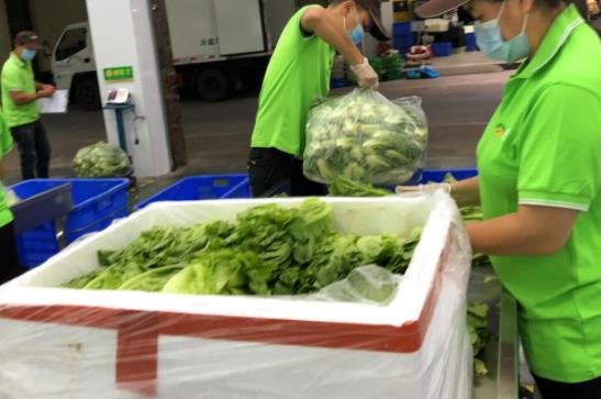 蔬菜冷链配送，保障新鲜，传递健康