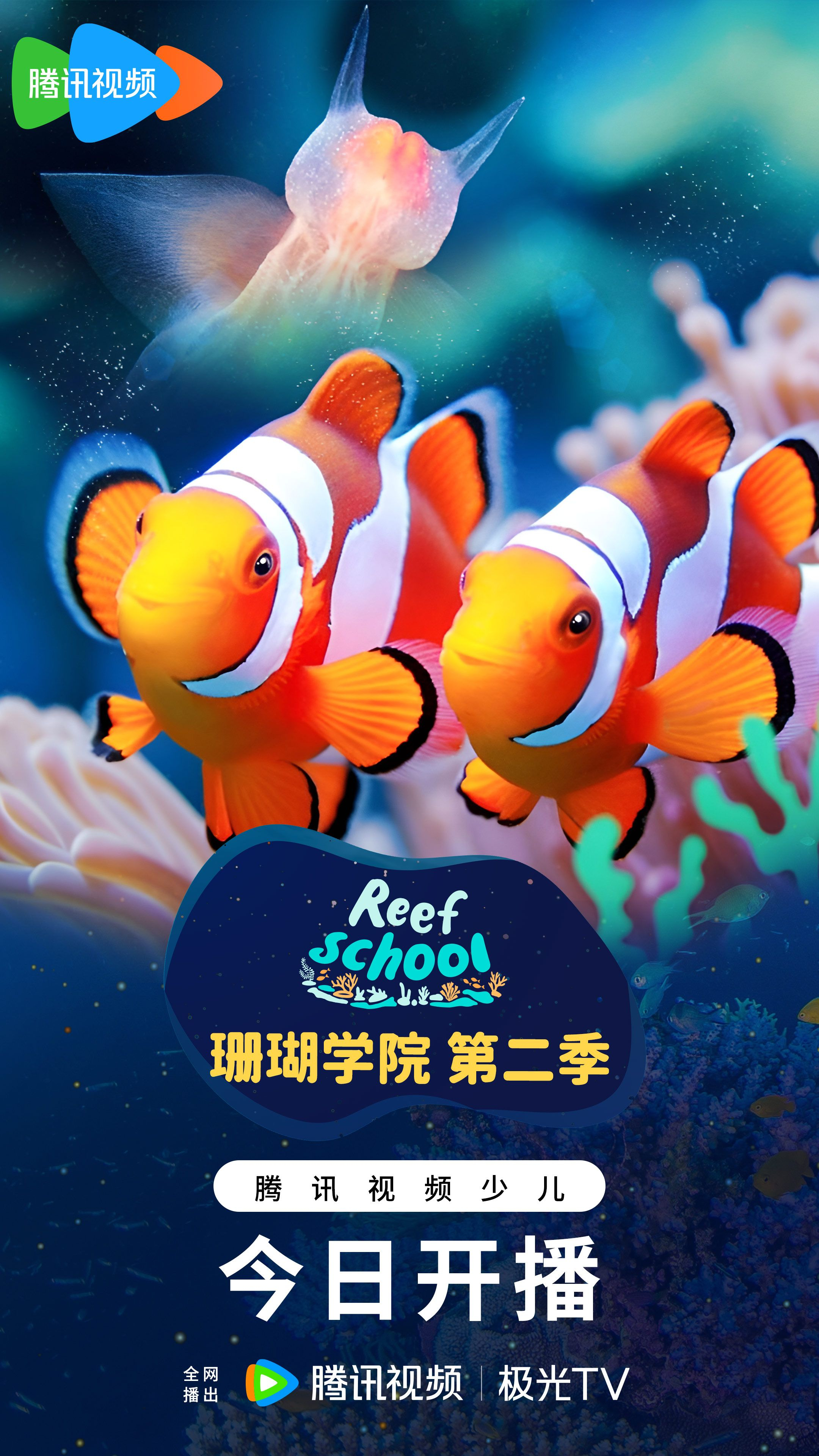 小鱼教学视频，探索海洋教育的无限可能