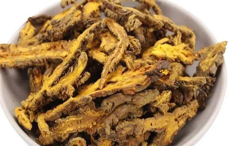 黄莲与干姜，传统药材的协同作用及其作用机制