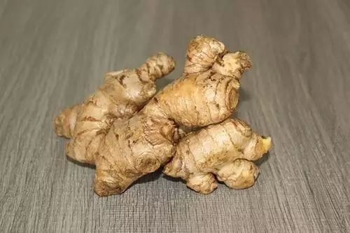 生姜与黄连，两种中药材的奇妙世界