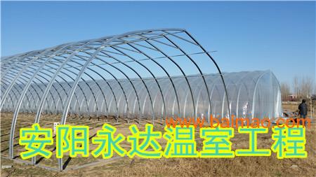 大棚甲鱼养殖技术，从图片解读其过程与优势