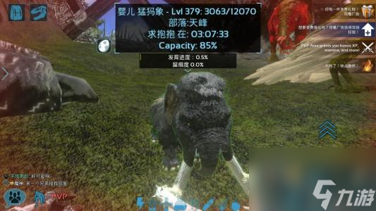 方舟畸变，开局策略与生存之道