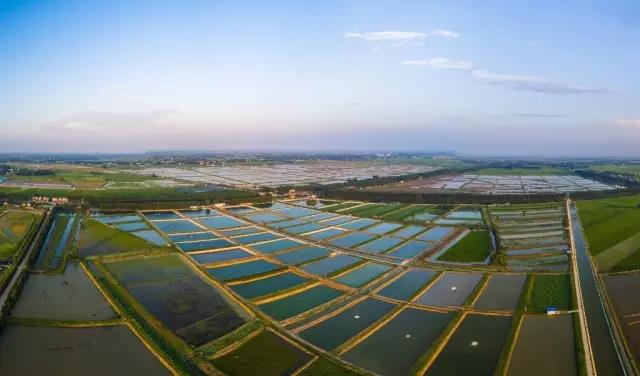 江苏南通大棚养虾基地，探索现代水产养殖新模式