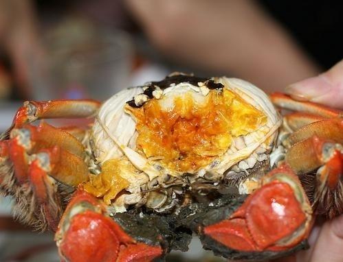吃螃蟹不能喝什么饮料——饮食搭配的禁忌