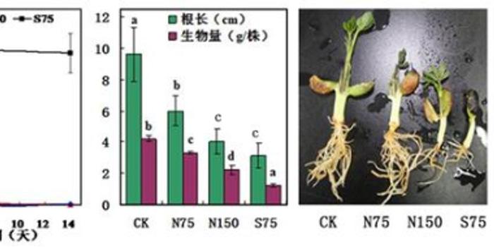 双层水产大棚水温调控技术与管理研究