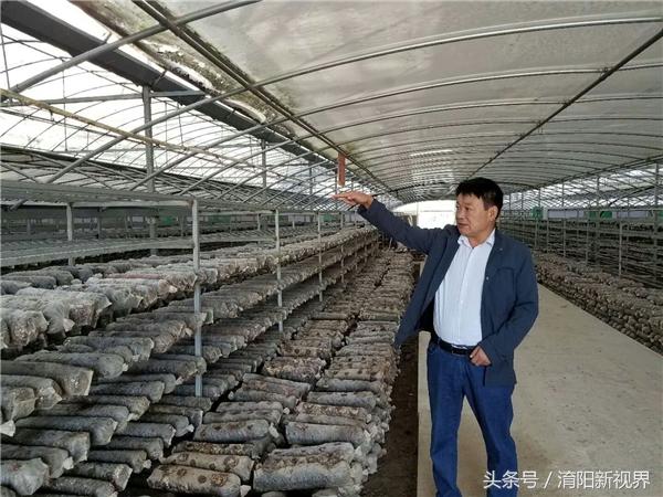 温室大棚养虾蟹，创新养殖模式与可持续发展前景