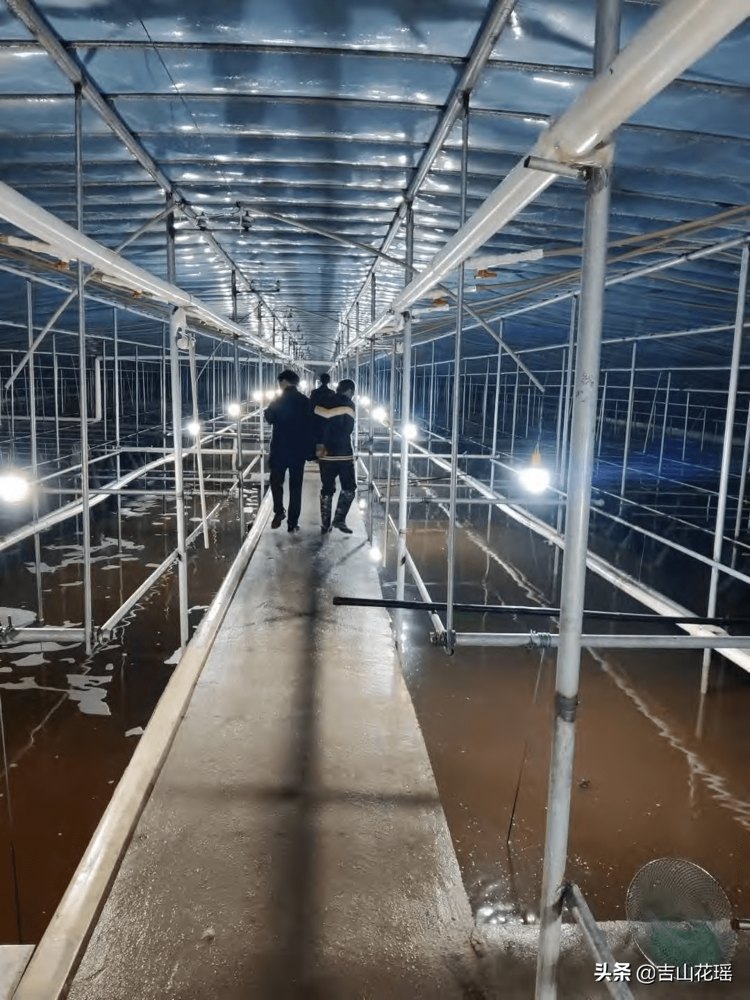 温室甲鱼大棚建造的全面解析