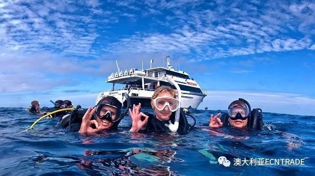 剧组海，探索深海的奇幻之旅