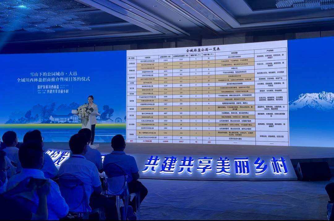 道劫黄金，探寻黄金背后的神秘力量与智慧