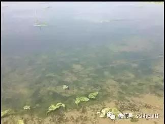 河蟹大棚越冬技术与管理