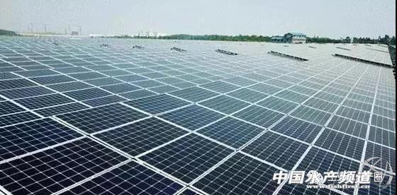 南美白对虾大棚标粗养殖技术，探索高效水产农业新模式