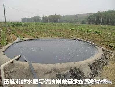 大棚养鱼池水循环，高效养殖与环保双赢的策略