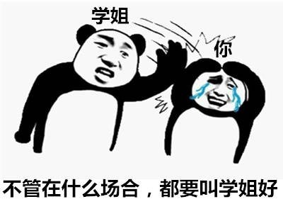 学姐内涵表情包，一种独特的校园文化与交流方式