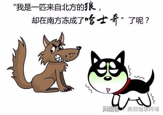动漫表情包在北方的盛行