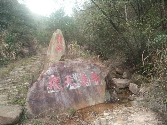 蕲春理想自动门厂——连接未来的门户艺术