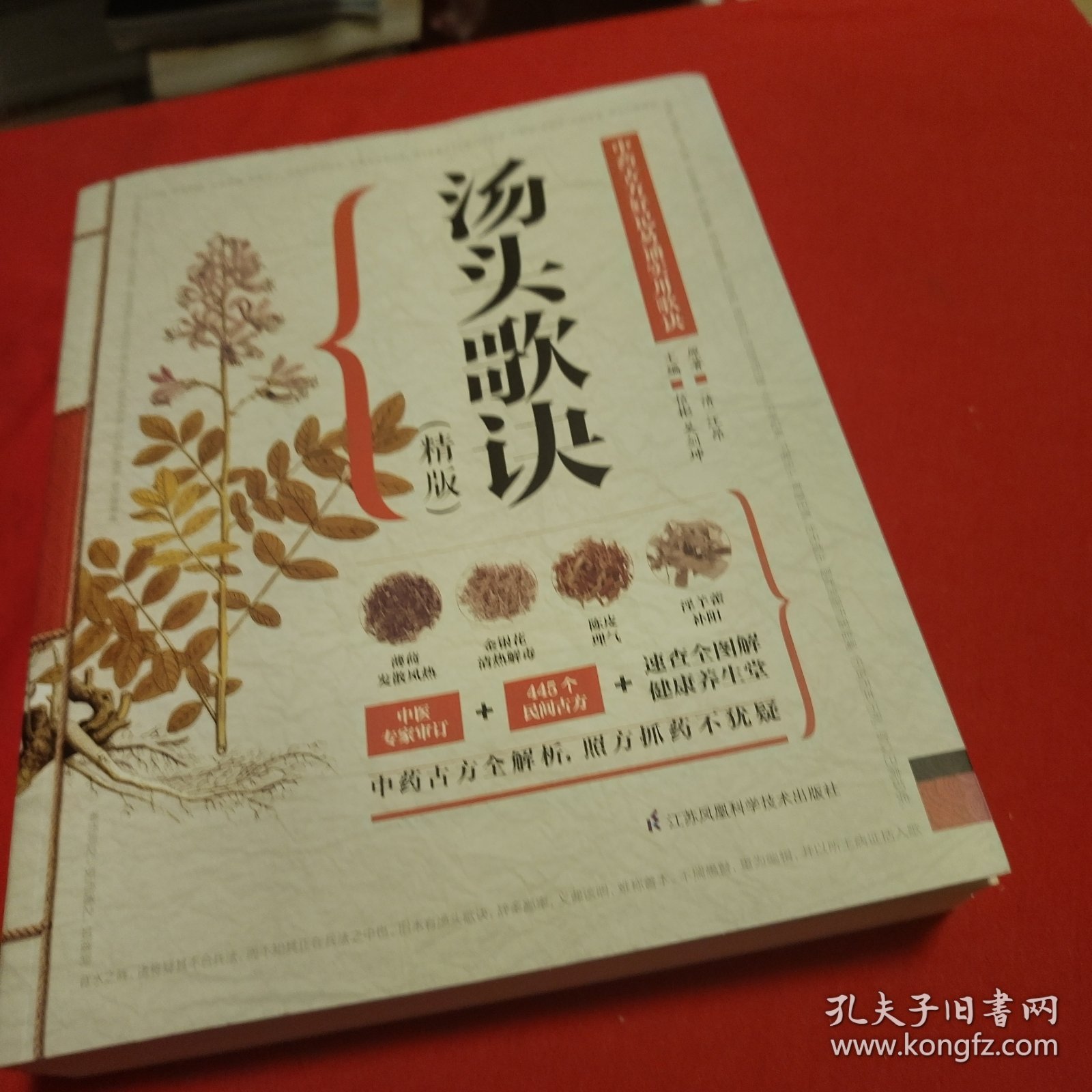 汤头歌诀书籍的价格探索，一本知识的价值