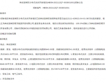 国际光伏招标文件详解