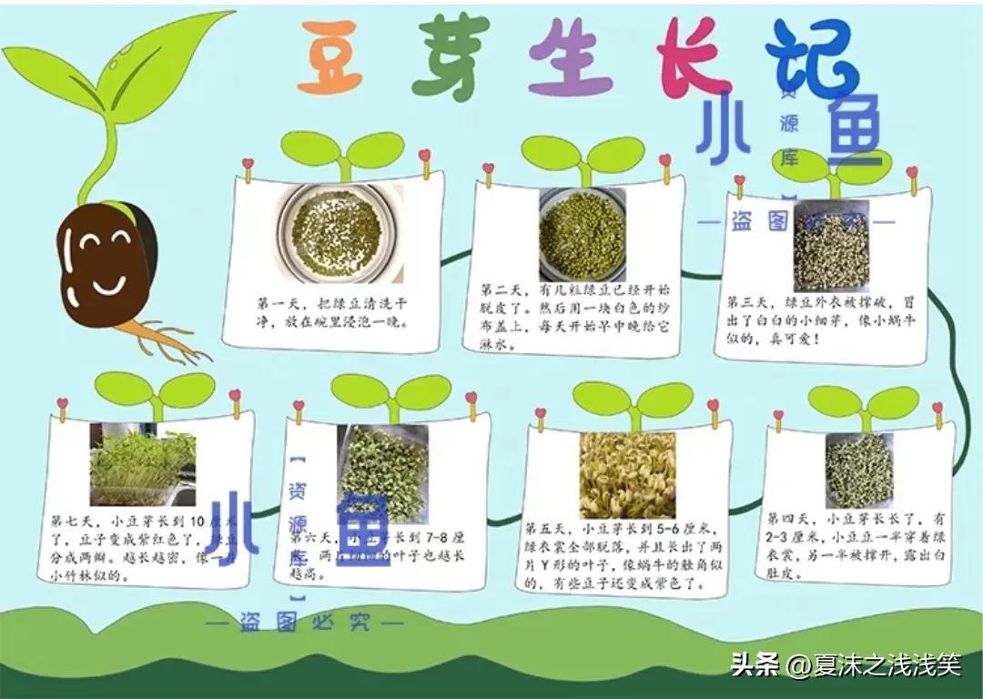 中班美术区观察记录表