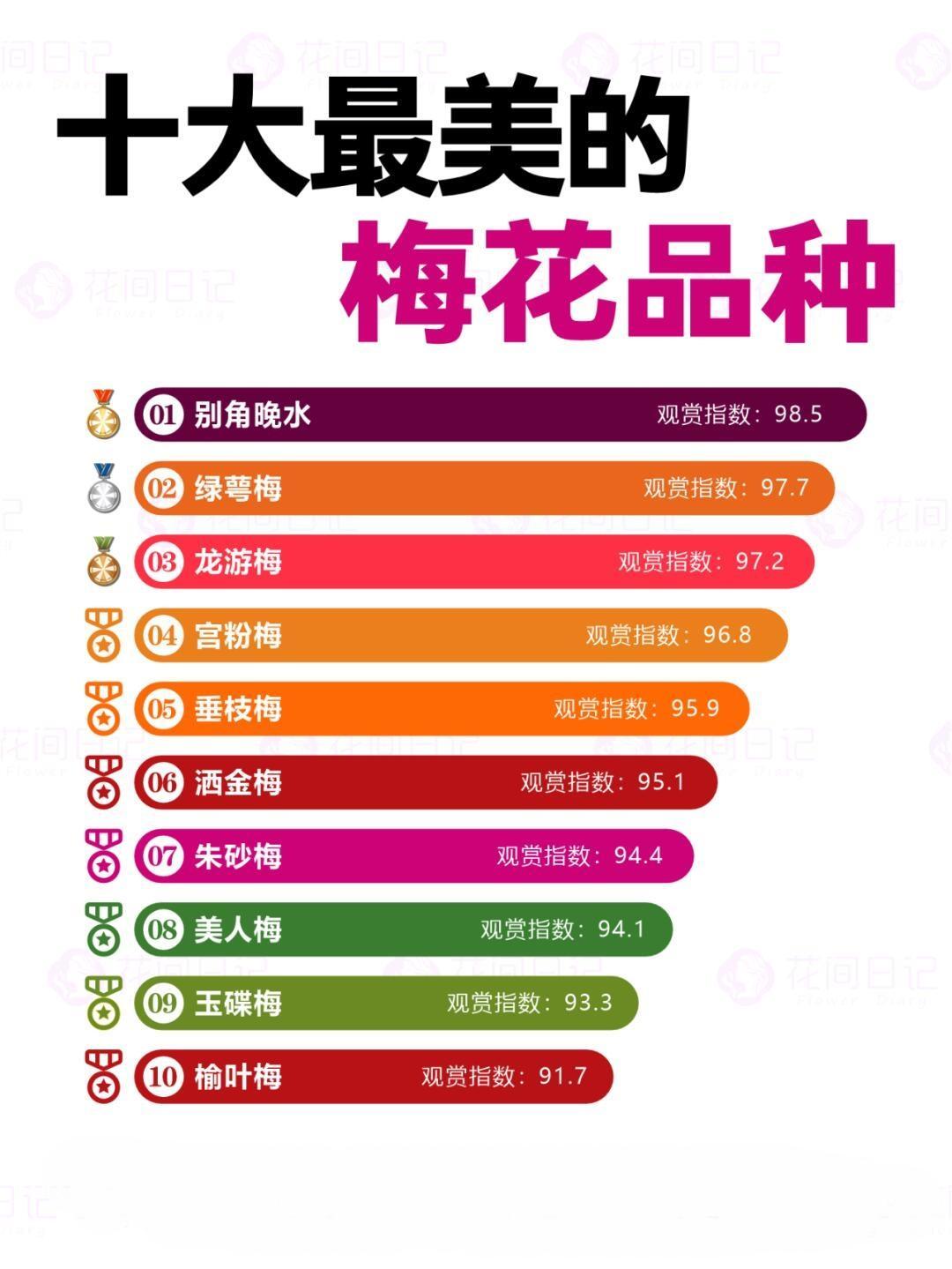 梅花品种规格表及其应用价值研究