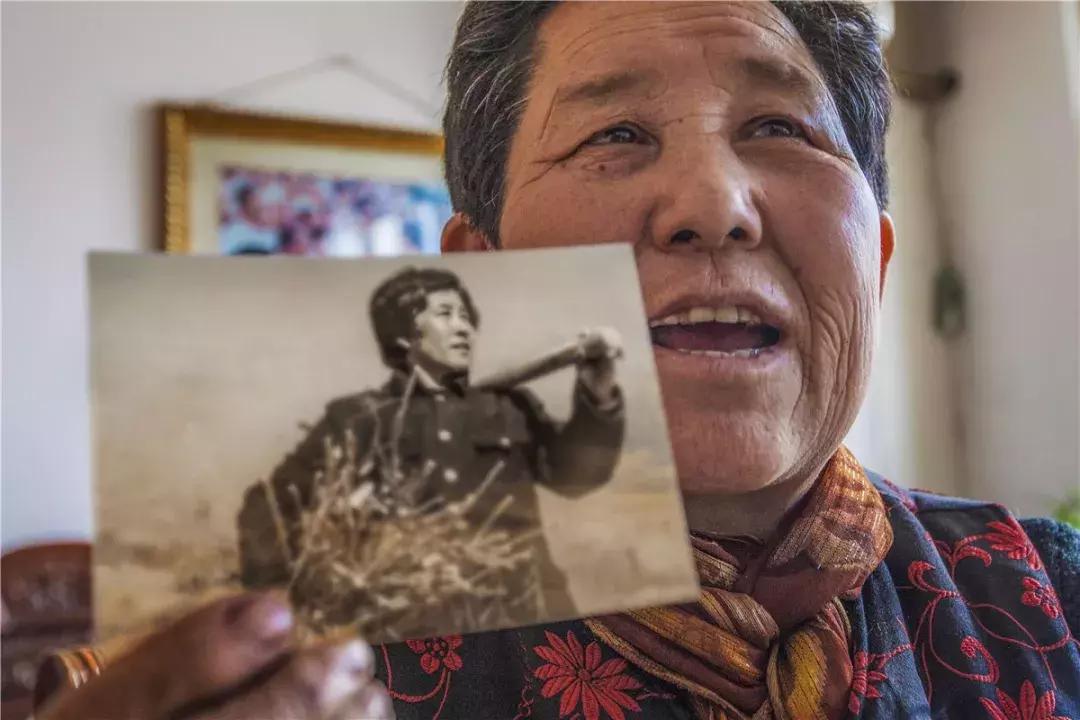 野生欧李的品种研究，多样性与特性分析
