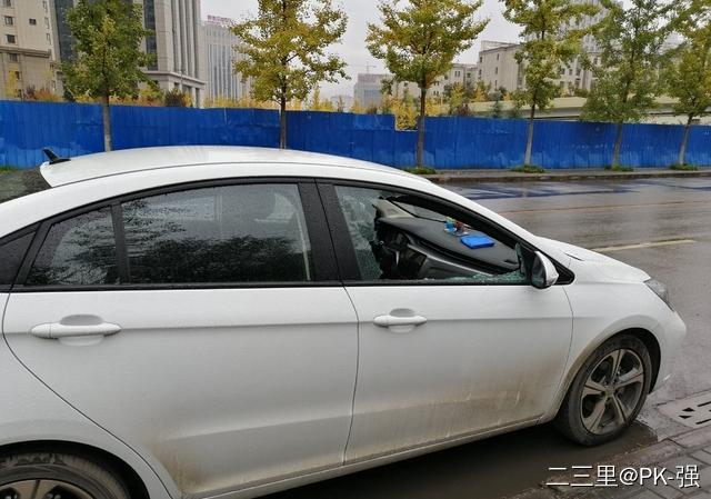 小班美术涂色斑马教案