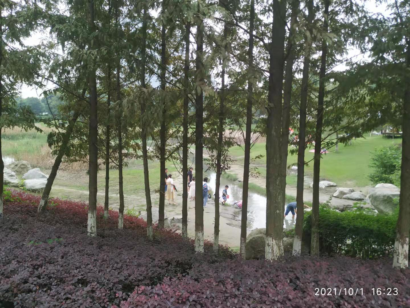 郫县健身，探索健康生活的无限可能