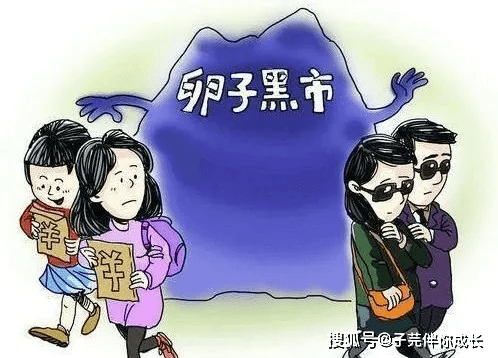 关于取卵太多的探讨