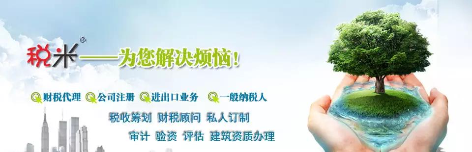 个人借给个人利息发票，解读与操作指南