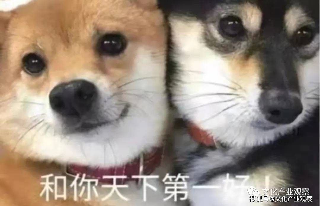 我说是就是表情包，网络时代的沟通新宠