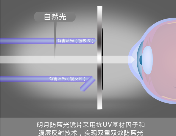 如何判断明月镜片真假