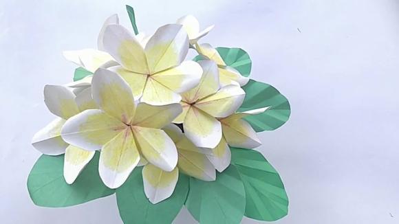 鸡蛋花制作教程，从选材到创意装饰的全方位指南