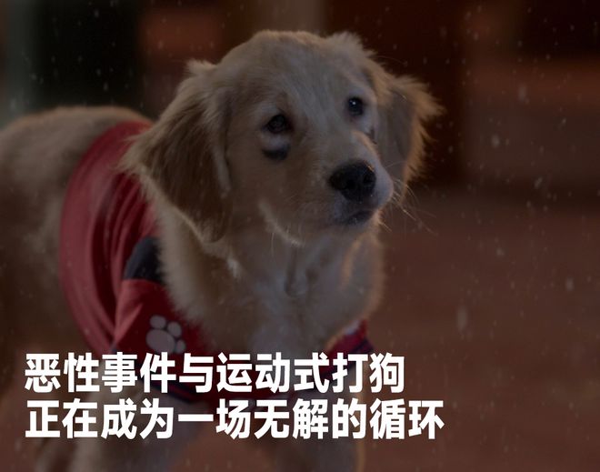 恶犬出笼表情包，网络时代的文化新宠