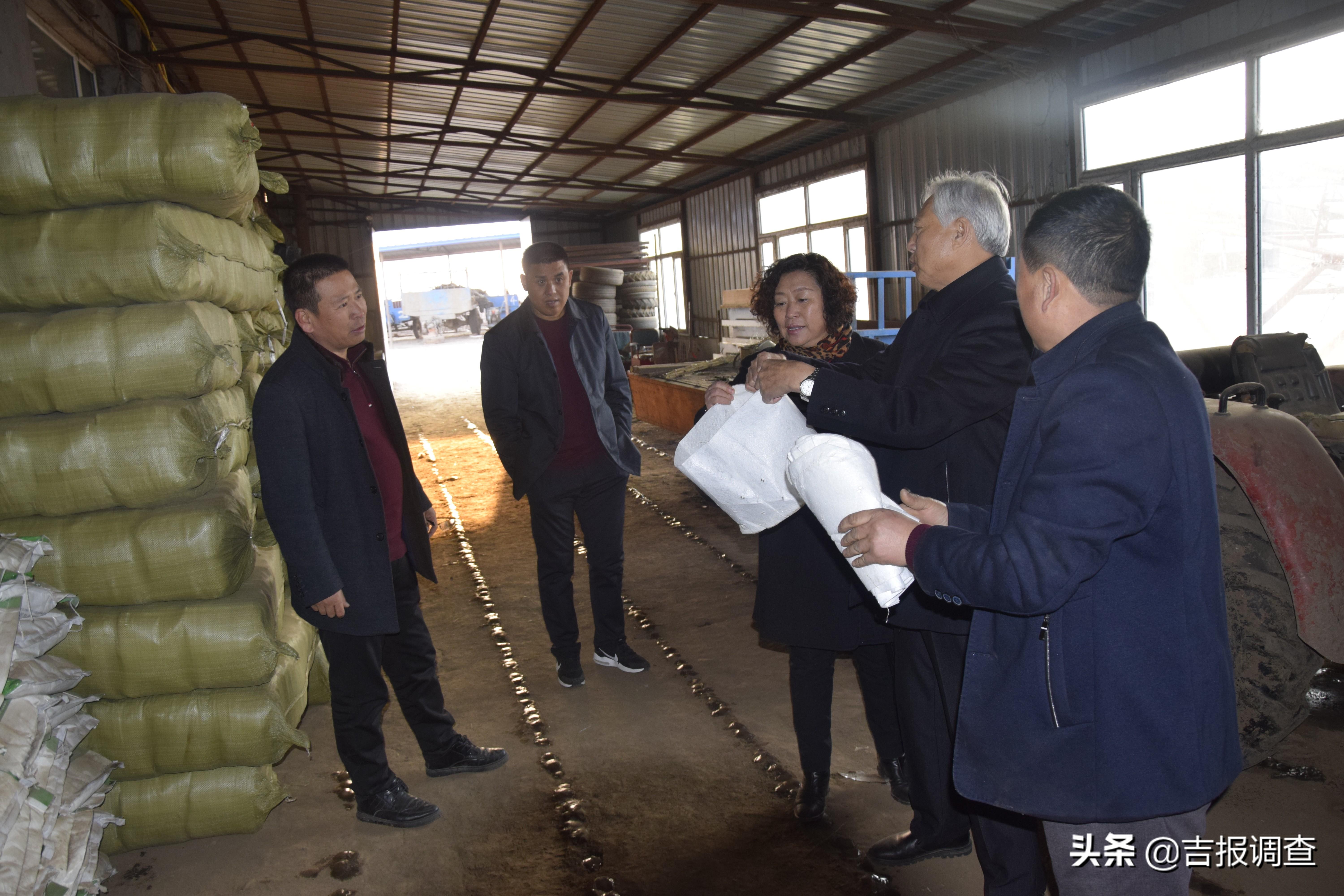 东北绿化苗木品种，丰富多样与地域特色