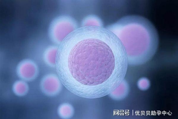 面对取卵卵泡少，探索原因与应对策略