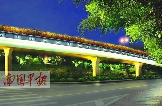 广西南宁绿化苗圃品种，丰富多样与独特魅力