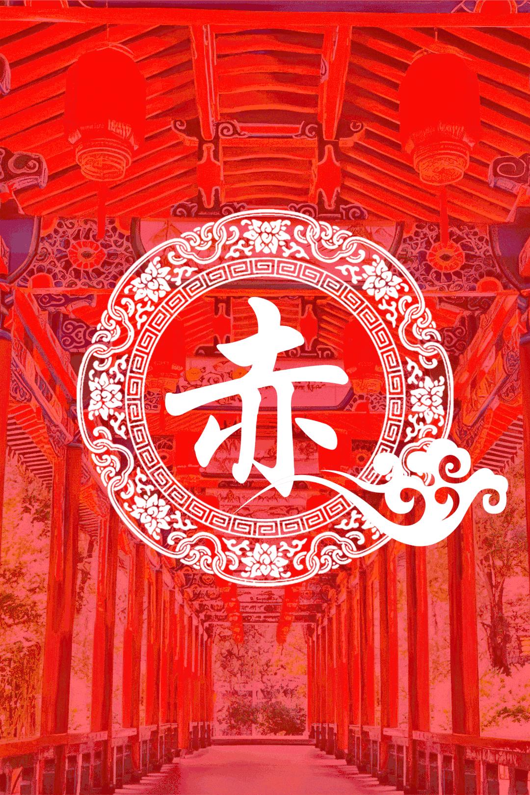红掌品种图片，多彩世界的展示