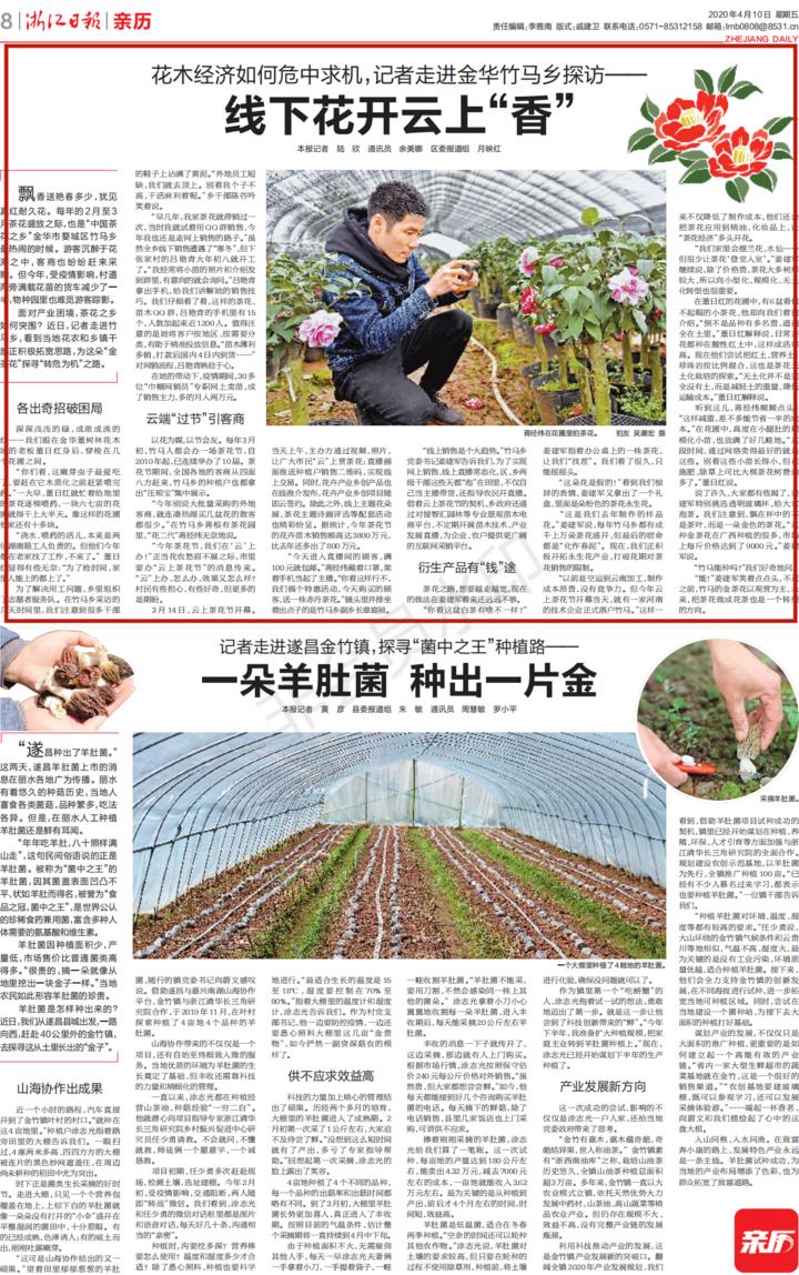 浙江花木品种，丰富多样与独特魅力