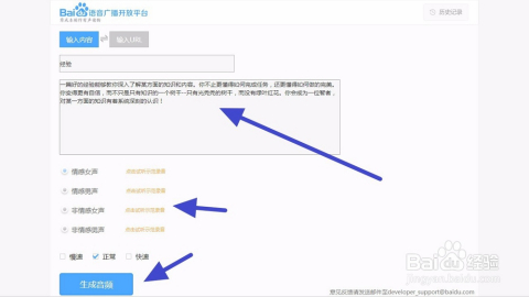语音文字转换平台的深度解析与应用前景
