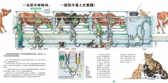 弹簧叉拆解，深入了解机械构造的奥秘