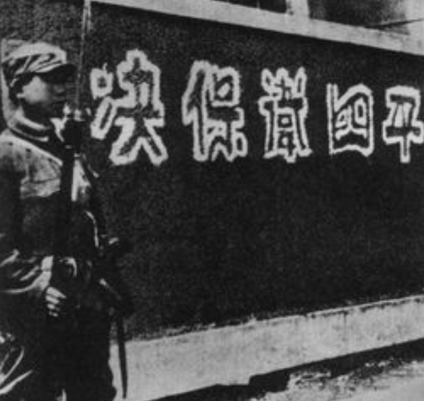 东北打黑纪实，揭示黑暗中的光明之路